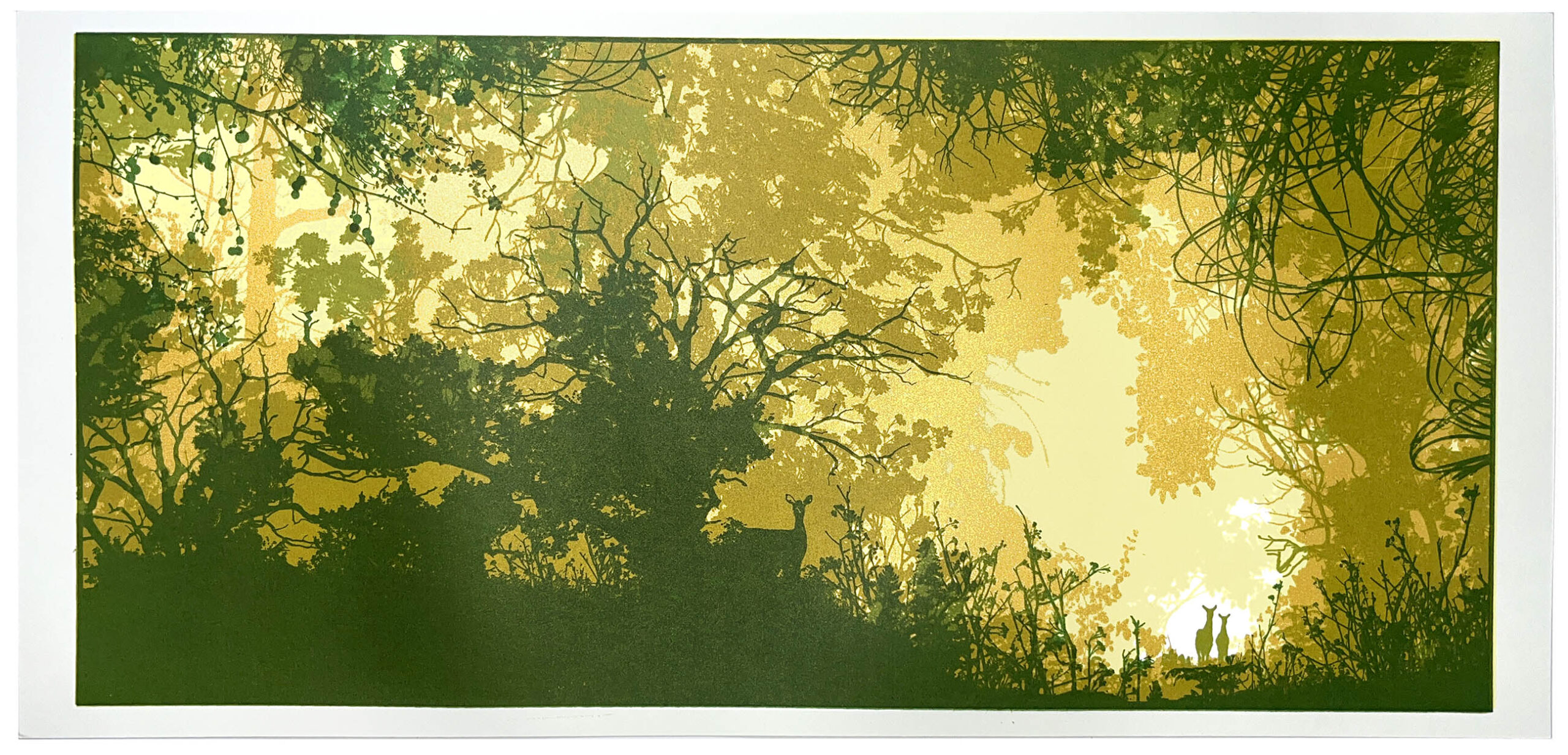 Gap-in-the-forest-scaled.jpg